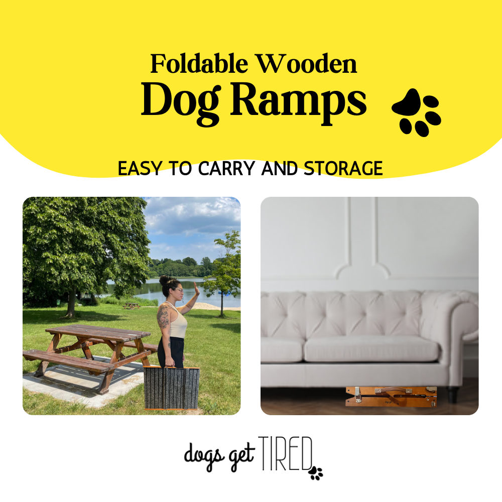 39" Foldable Portable and Anti-Slip Dog Ramp for Small and Medium Sized Dogs