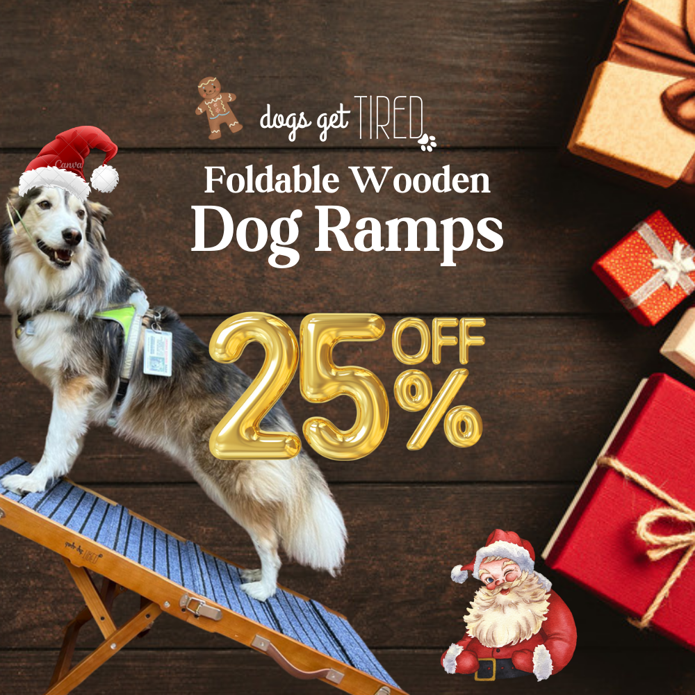 39" Foldable Portable and Anti-Slip Dog Ramp for Small and Medium Sized Dogs